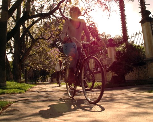 2012 FEB-Bicicletas (7)
