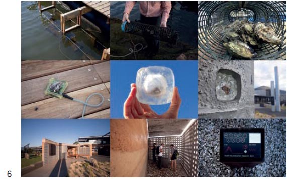 figura 6 diego ramirez