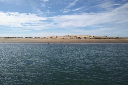 22 abril | Día de la&nbsp;Tierra